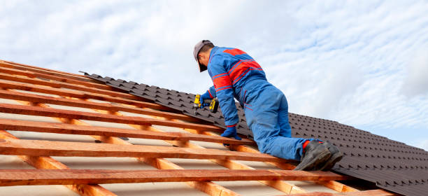 Best Roof Maintenance and Cleaning  in Plain City, OH